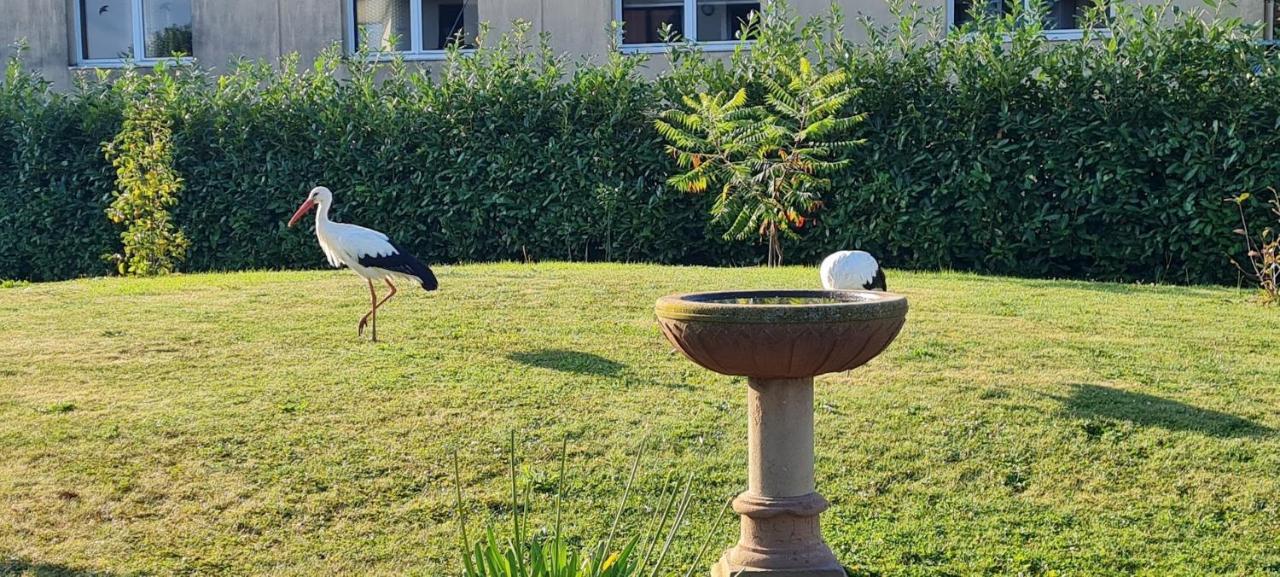 Maison D'Hotes Sainte Hune Appartements Hunawihr Exterior foto